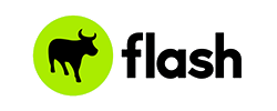 Flash logo